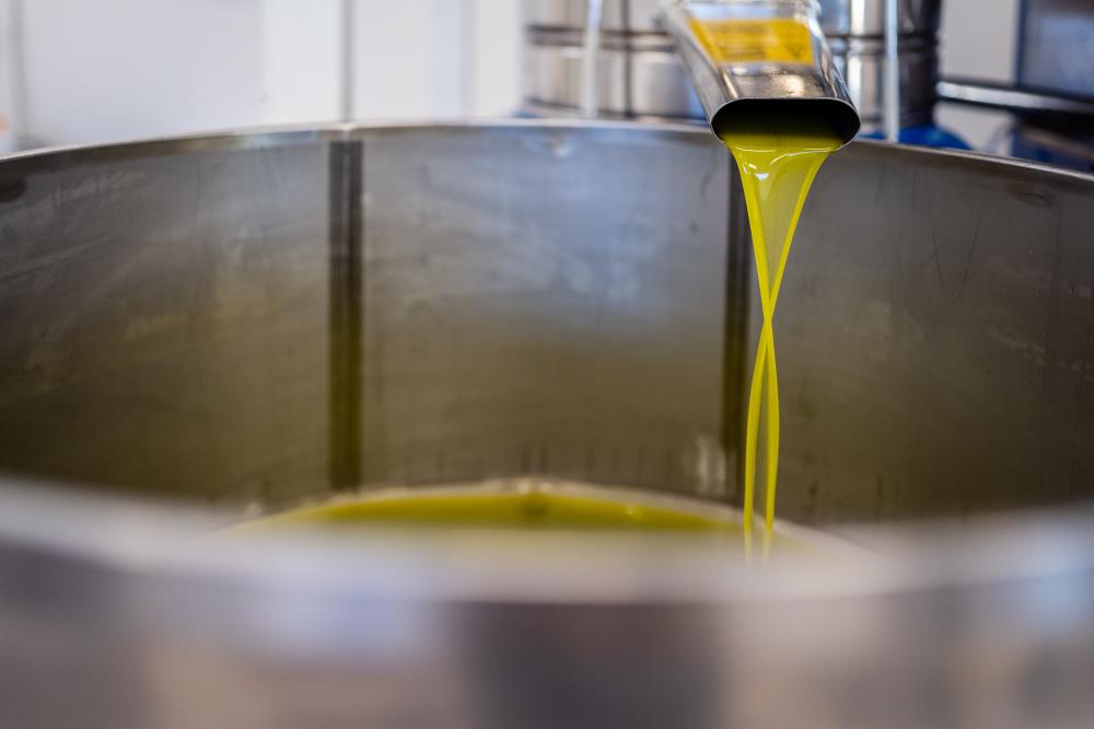 Olio di oliva in produzione