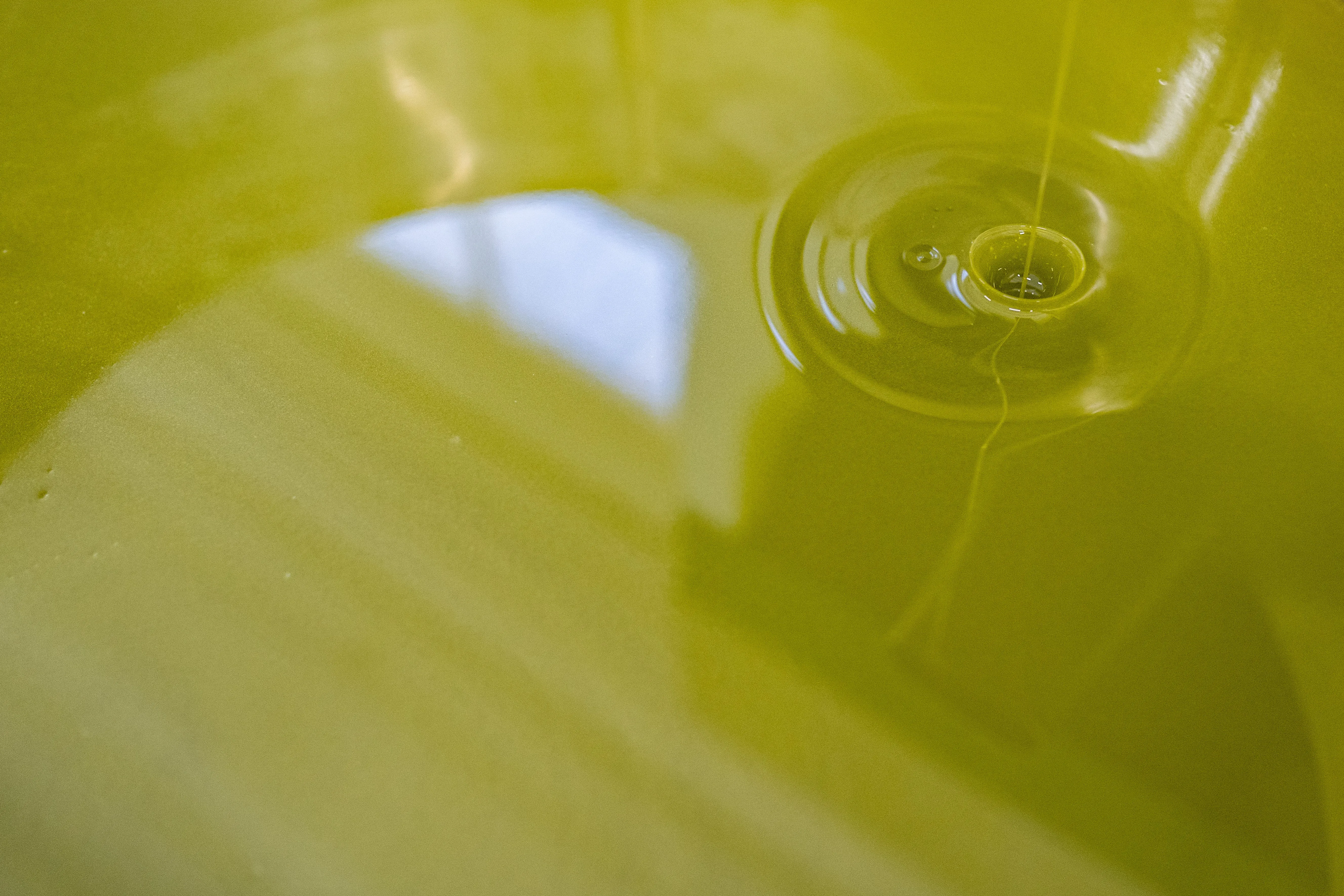 Olio extravergine verde - sostenibilità e qualità