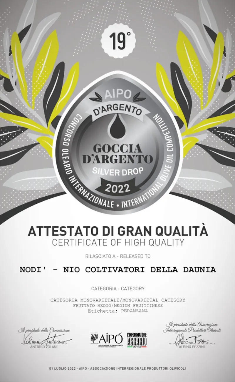 Premio AIPO d'Argento