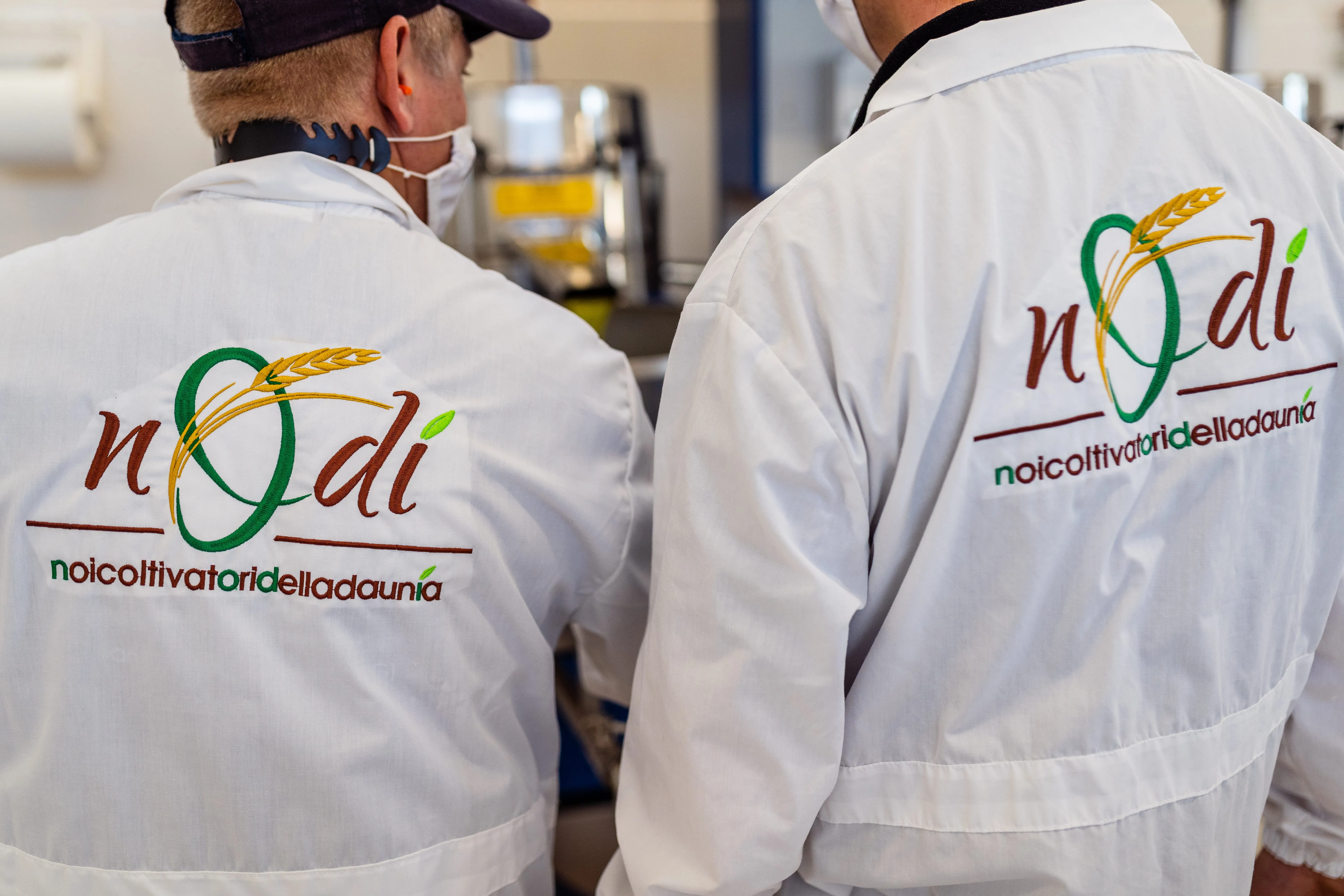 Il team Nodì al frantoio pugliese
